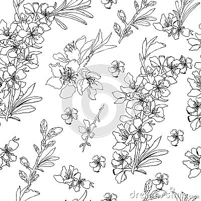 Flower background. Outline hand drawing vector illustration black and white color. Vector Illustration