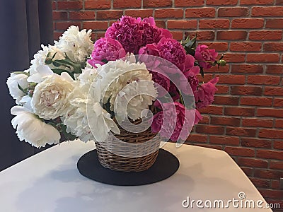 Flower background with peonies, bouquet of peonies Stock Photo