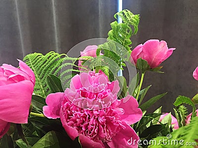 Flower background with peonies, bouquet of peonies Stock Photo