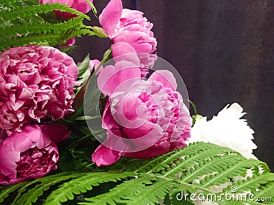 Flower background with peonies, bouquet of peonies Stock Photo