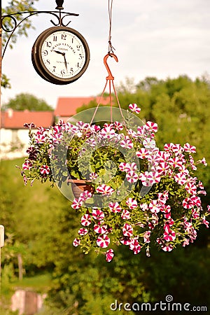 Flower basket with red and white flowers and brown vintage wall mounted clock Editorial Stock Photo
