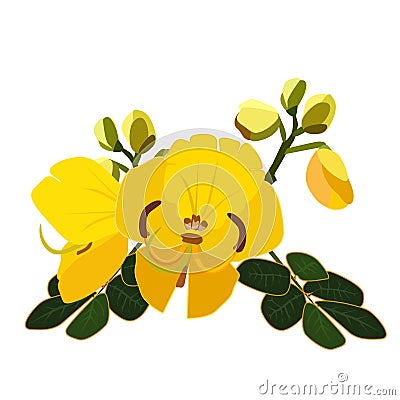 The flower is a beautiful yellow Cassia fistula. Plants and the plant world. Vector flat illustration Vector Illustration