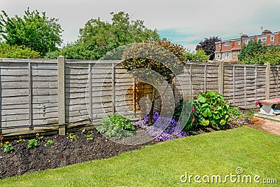 Flower bed in the back-garden with a fence behind the plants. Stock Photo