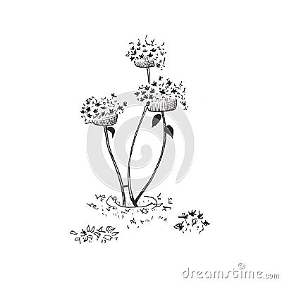 Flower bed with flowers. Hand drawn sketch style garden bed, street vase with flowers. Isolated on white Stock Photo