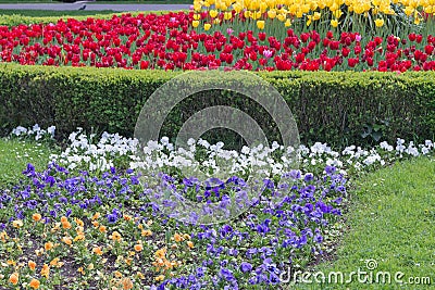 Flower bed in formal garden Stock Photo