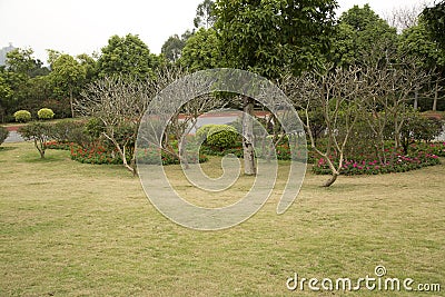 Flower bed, lawn and plants in Qingxiu mountain Nanning Stock Photo
