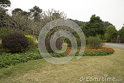 Flower bed,lawn and plants arranged in Qingxiu mountain spring Stock Photo
