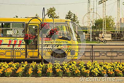 Flower beds against the yellow bus Editorial Stock Photo
