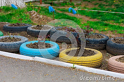 Flower beds in old rubber tires. Harsh urban scenery in poor countries. Background with selective focus and copy space Stock Photo