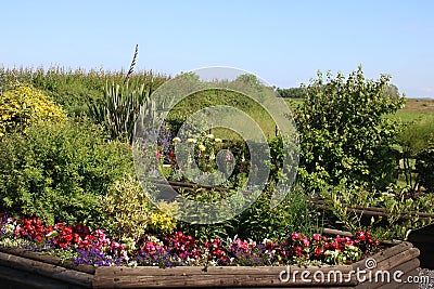 Flower beds in sensory garden, Pilling, Lancashire Stock Photo