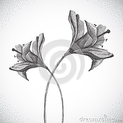 Flower. Black and white Dotwork Vector Illustration