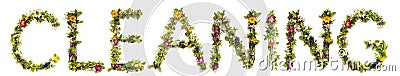 Flower And Blossom Letter Building Word Cleaning Stock Photo