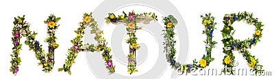 Flower And Blossom Letter Building Word Natur Means Nature Stock Photo