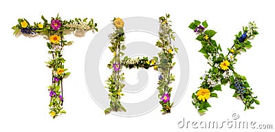 Flower And Blossom Letter Building Word THX Means Thank You Stock Photo