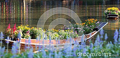 Flower and boat 95. Stock Photo