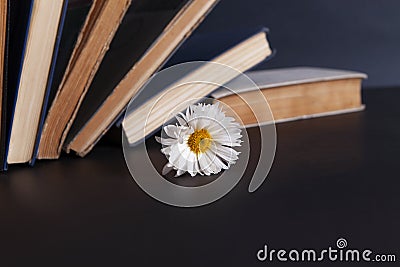 Flower and book on desktop Stock Photo