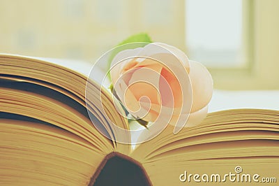 FLOWER AND BOOK Stock Photo