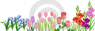 Flower border with different garden flowers Vector Illustration