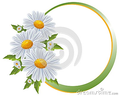 Flower borders. Bouquet camomile isolated. Vector Illustration