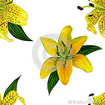Flower botanical flower. Seamless pattern. Yellow watercolour lilies. Perfect for backgrounds, textures, wrapping paper, patterns. Stock Photo