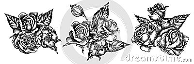 Flower bouquet of black and white roses Vector Illustration