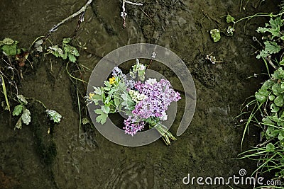 Flower bouquet in brook water by grassy bank Stock Photo