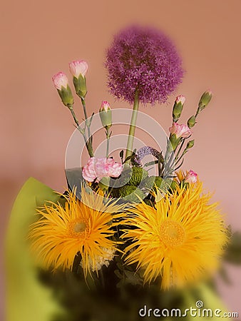 Flowers for you Stock Photo