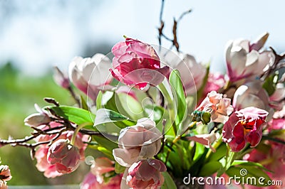 Flower bouquet in front of big window with blue sky background Stock Photo