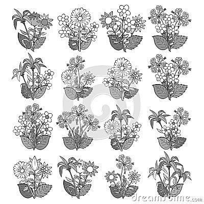 Flower bouquets. Summer flowers in monochrome color. Vector Illustration