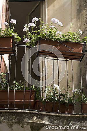 Flower boxes taormina Stock Photo