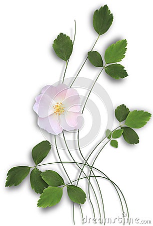 Flower branch Cartoon Illustration