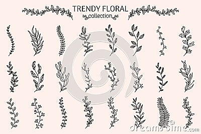 Flower branch. Eucalyptus, rosemary herb, lavender floral plants, rustic olive. Leaves and berries. Frame and border Vector Illustration