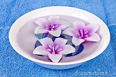 Flower candles in bowl of water Stock Photo