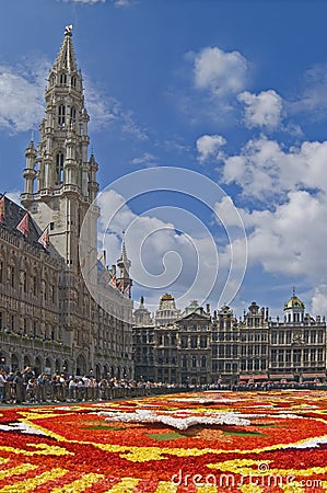 Flower Carpet in Brussels Stock Photo