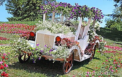 Flower cars exhibition at Spivoche Pole in Kyiv, Ukraine Editorial Stock Photo