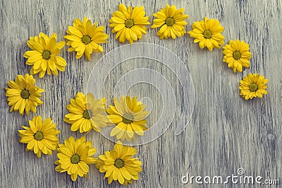 A flower of chrysanthemum on a wooden surface. The background Stock Photo