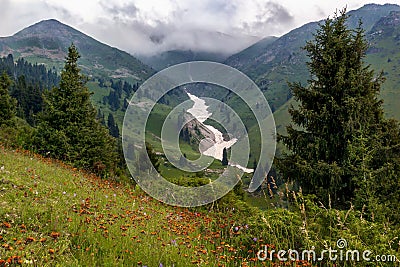 Flower clearing and a snow avalanche in the mountains against a background of low clouds Stock Photo