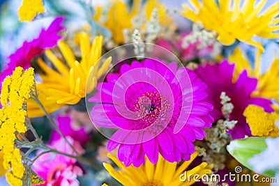 flower closeup, bunch of flowers, colorful flower background Stock Photo