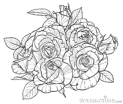 Flower composition, a bouquet. Large rosebuds. Illustration sketch in black and white style. Vector Illustration