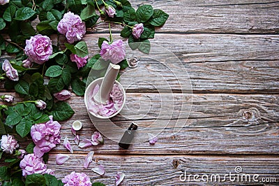 Flowers and leaves of rosehip, petals in a mortar with a pestle and a bottle of essential oil on a wooden background. Stock Photo