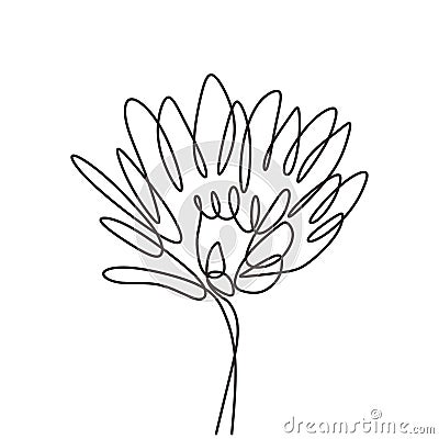 Flower continuous one line drawing vector minimalism lineart. Beauty symbol of art Stock Photo