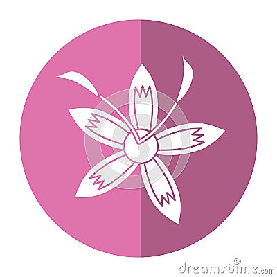 Flower daylily beautiful flora shadow Vector Illustration