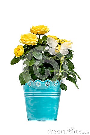 Flower decoration background. Close-up of beautiful bouquet of yellow roses in a decorative blue vase with a artificially bee Stock Photo