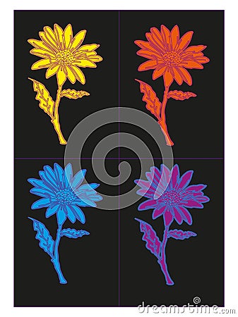 2 Flower of different colors Vector Illustration