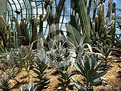 Flower Dome, Gardens by the Bay Stock Photo