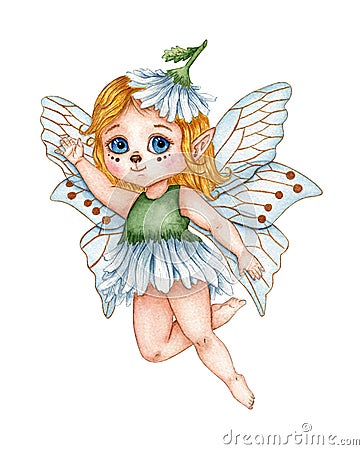 Flower fairy daisies watercolor Cartoon Illustration