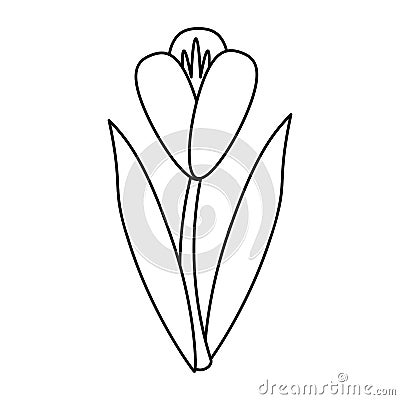 Flower flora fragant garden thin line Vector Illustration