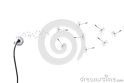 Flower of flying light feathers illustration. Cartoon Illustration