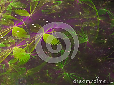 Flower fractal abstract futuristic, design, render design decorative Stock Photo