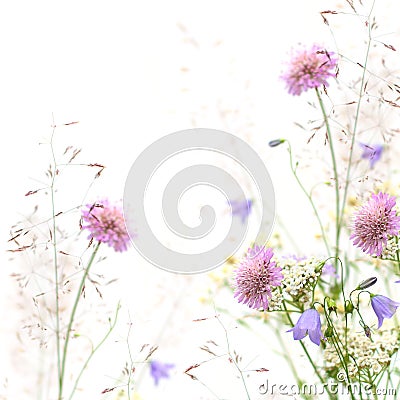 Flower frame - spring or summer background Stock Photo
